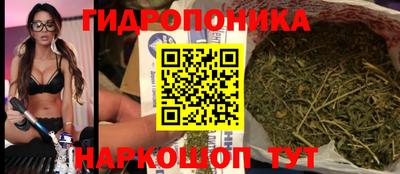 спайс Кандалакша