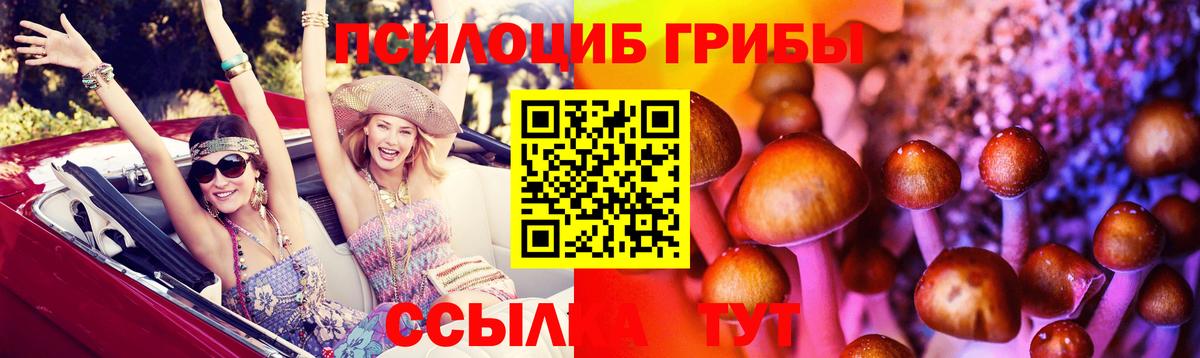 Псилоцибиновые грибы ЛСД Буйнакск