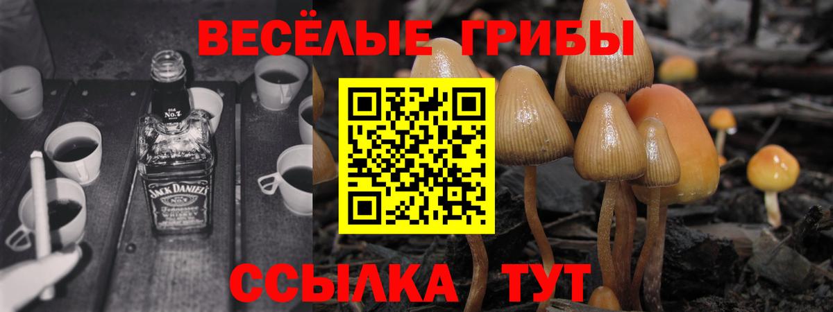 Буйнакск  Галлюциногенные грибы мухоморы  Вход с VPN 